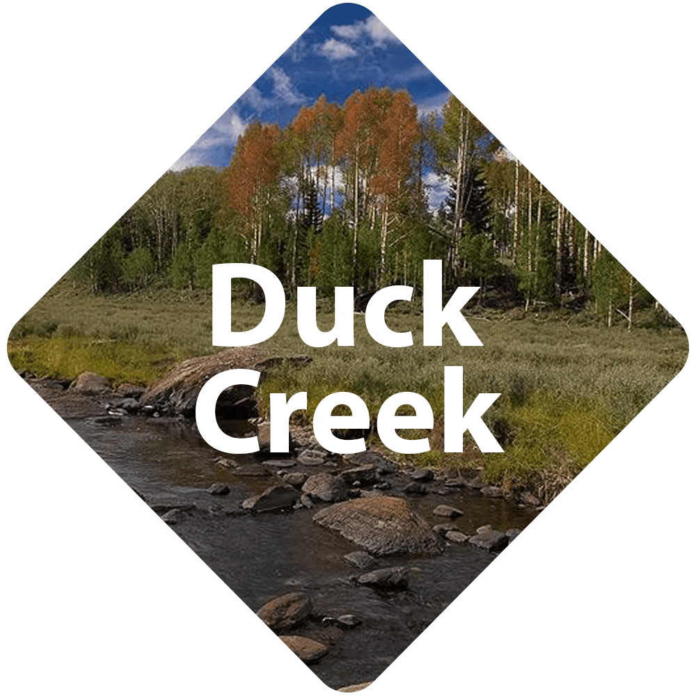 Duck Creek