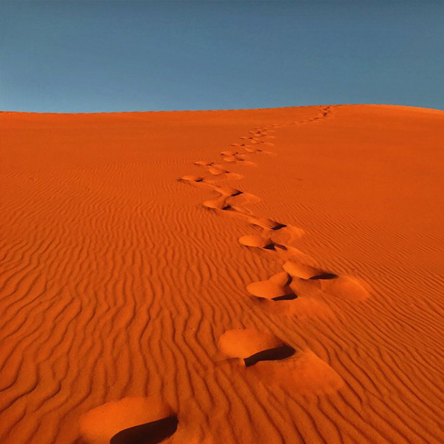 Find Bigfoot at Coral Pink Sand Dunes