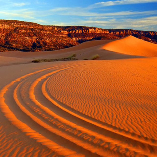 Find Bigfoot at Coral Pink Sand Dunes